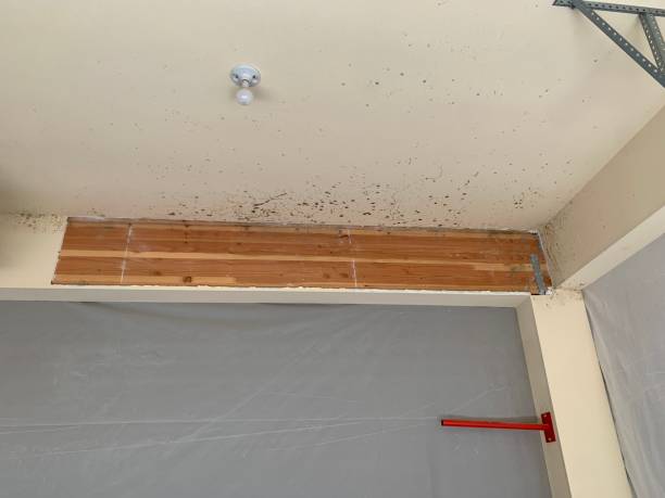 Best Residential Mold Inspection & Testing  in Fairmount, IN