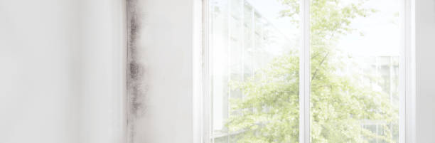 Best Indoor Air Quality Assessment  in Fairmount, IN