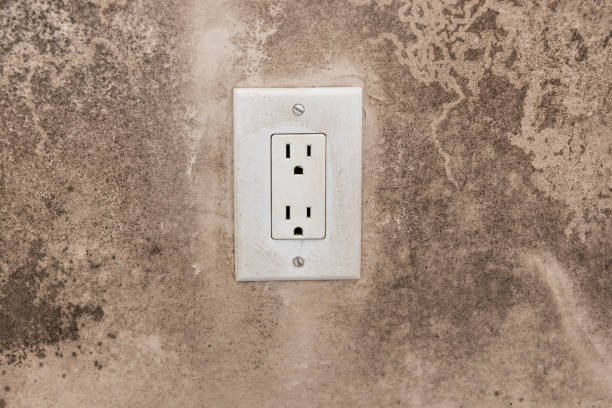 Best Commercial Mold Inspection  in Fairmount, IN